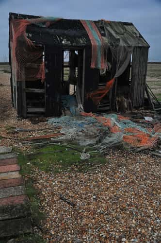 Dungeness Beach