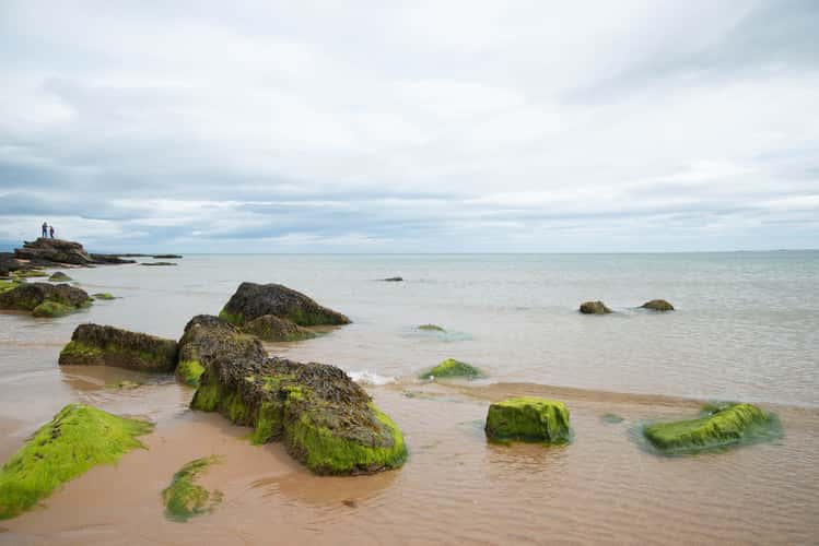 Durnoch Beach