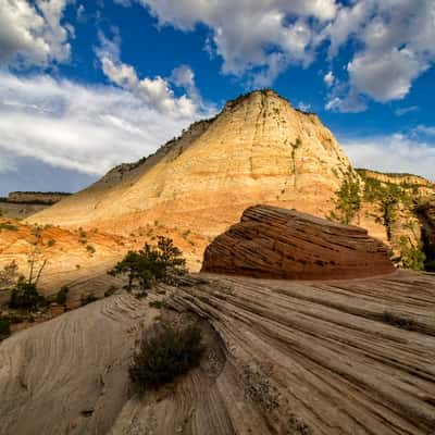 East Zion, USA