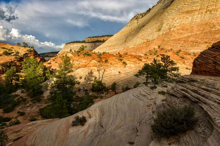 East Zion