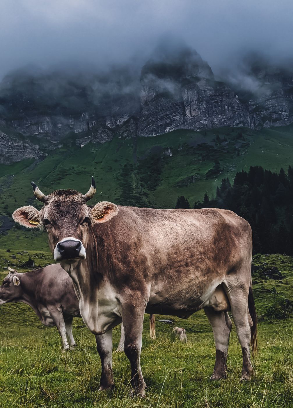 Alpstein, Switzerland