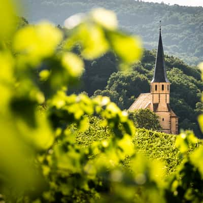 Église Saint-André at Andlau (Alsace), France