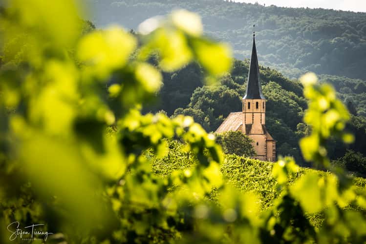 Église Saint-André at Andlau (Alsace)