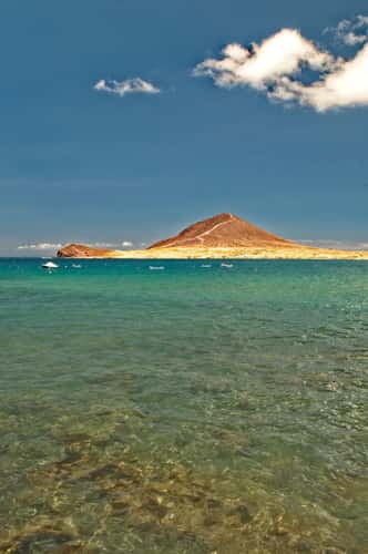 El Medano Tenerife