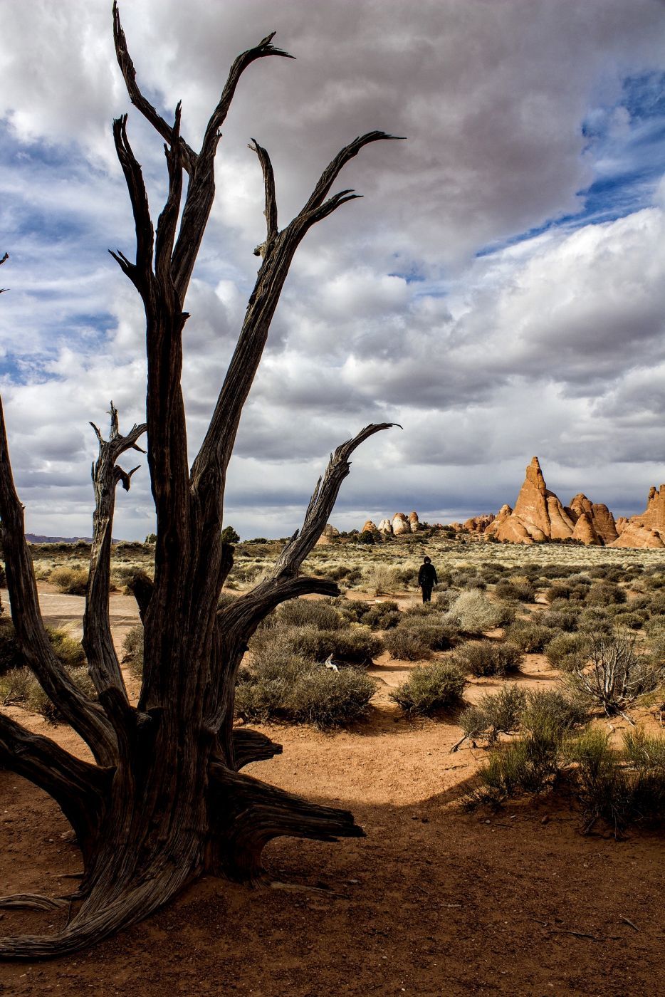 Entrance to Sand Dune Arch, USA