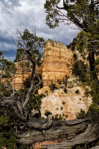 Fairyland Loop Trail