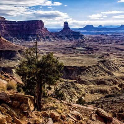 False Kiva, USA