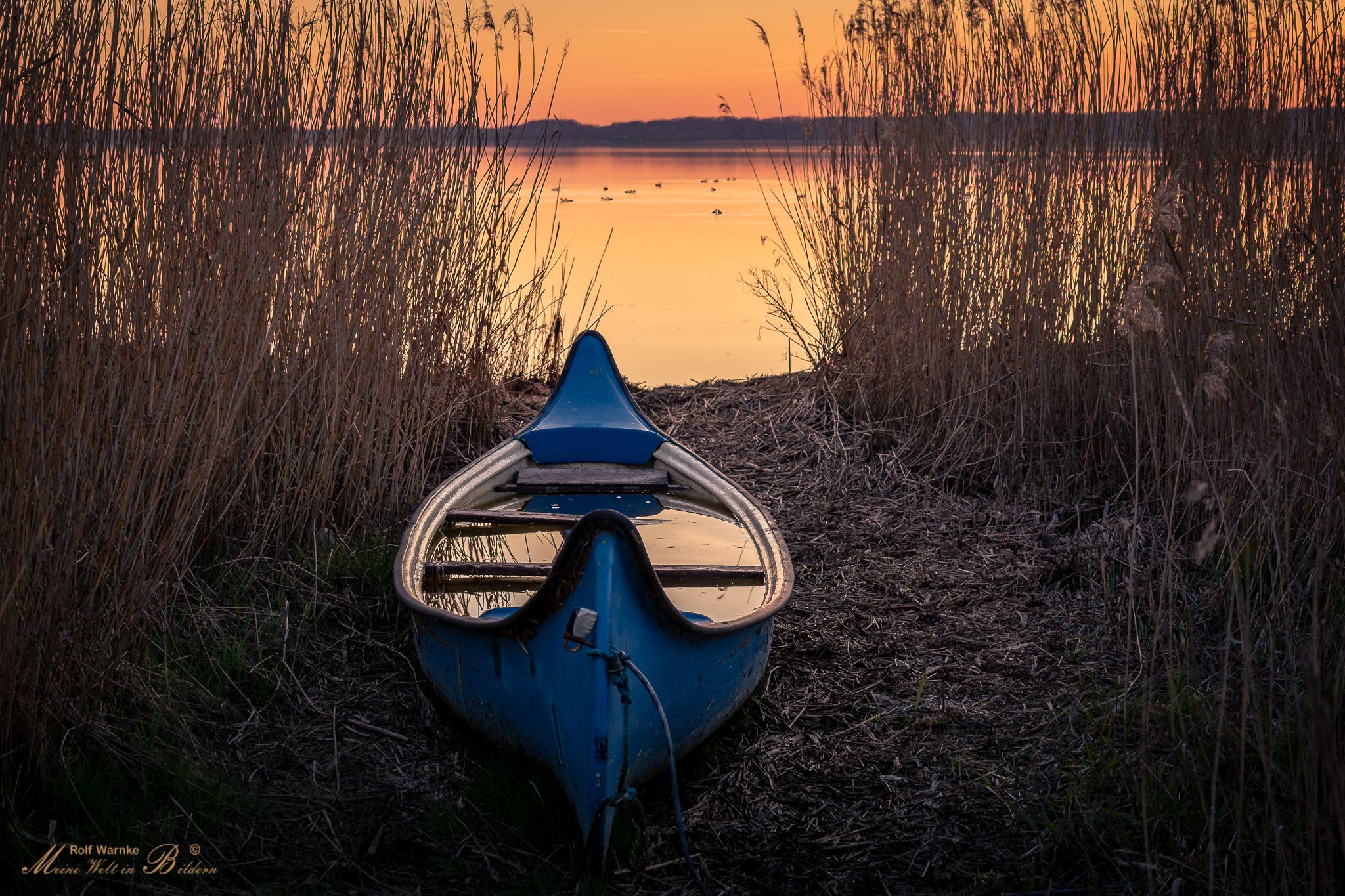 Feddet Strand, Denmark