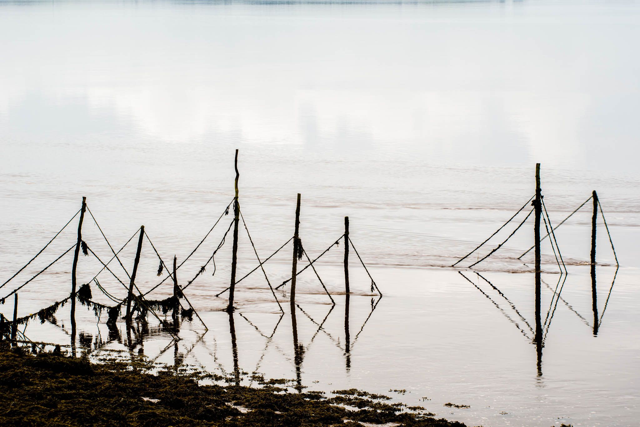 Fishing Poles, United Kingdom