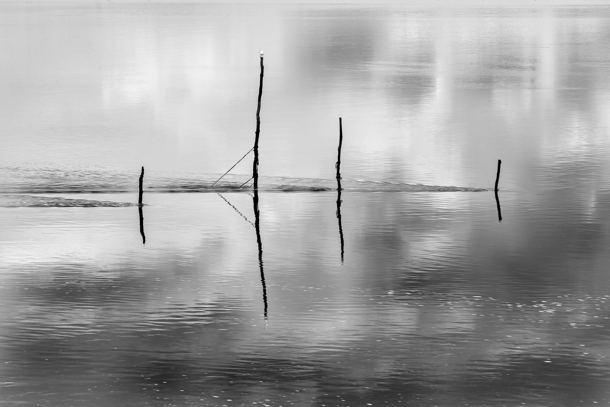 Fishing Poles, United Kingdom
