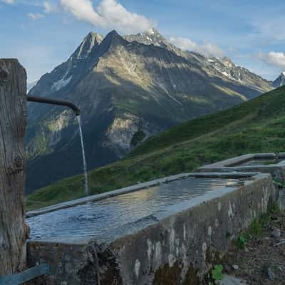 Fountain Drinker, Switzerland