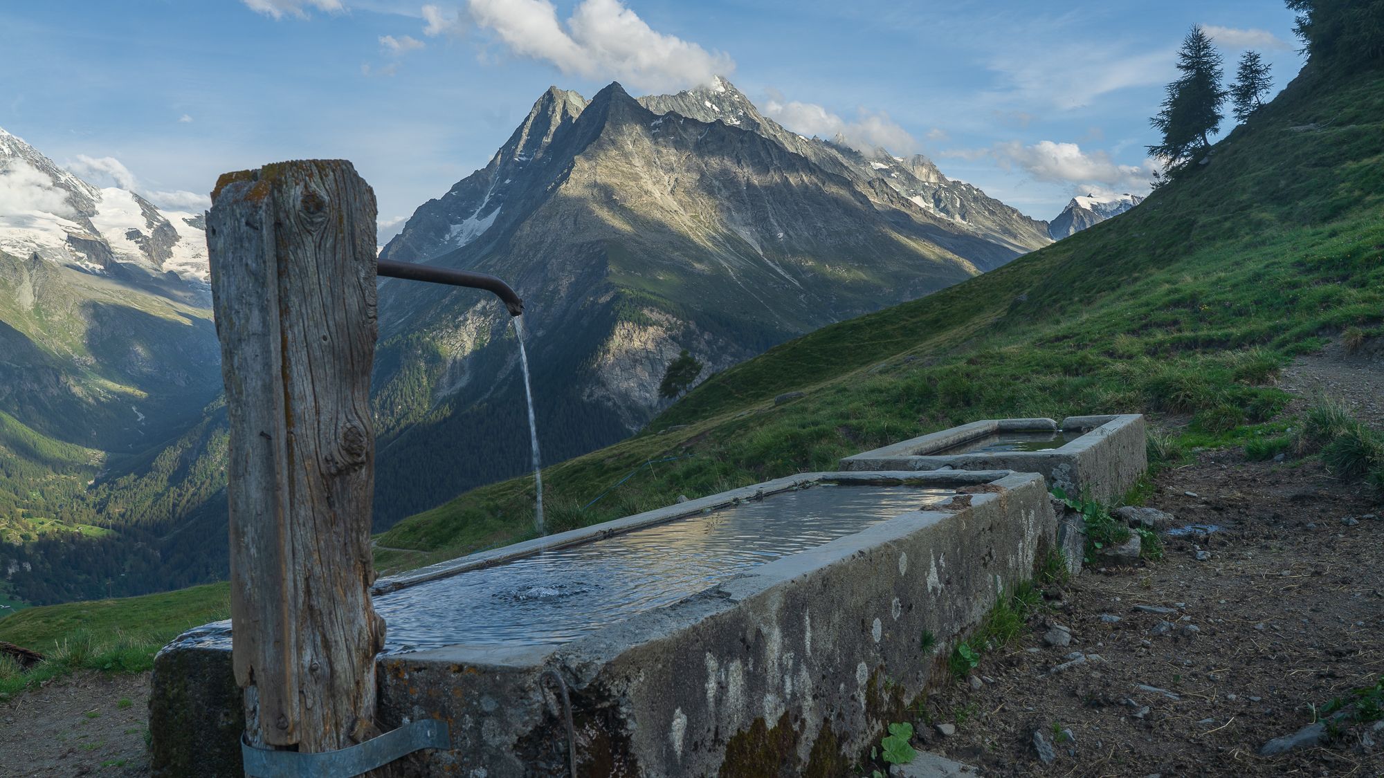 Fountain Drinker, Switzerland