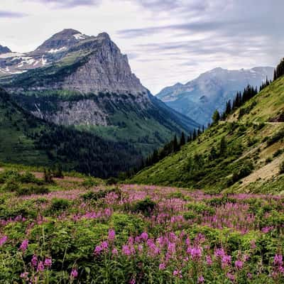 Going to the Sun Road, USA