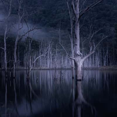 Hinze Dam, Australia