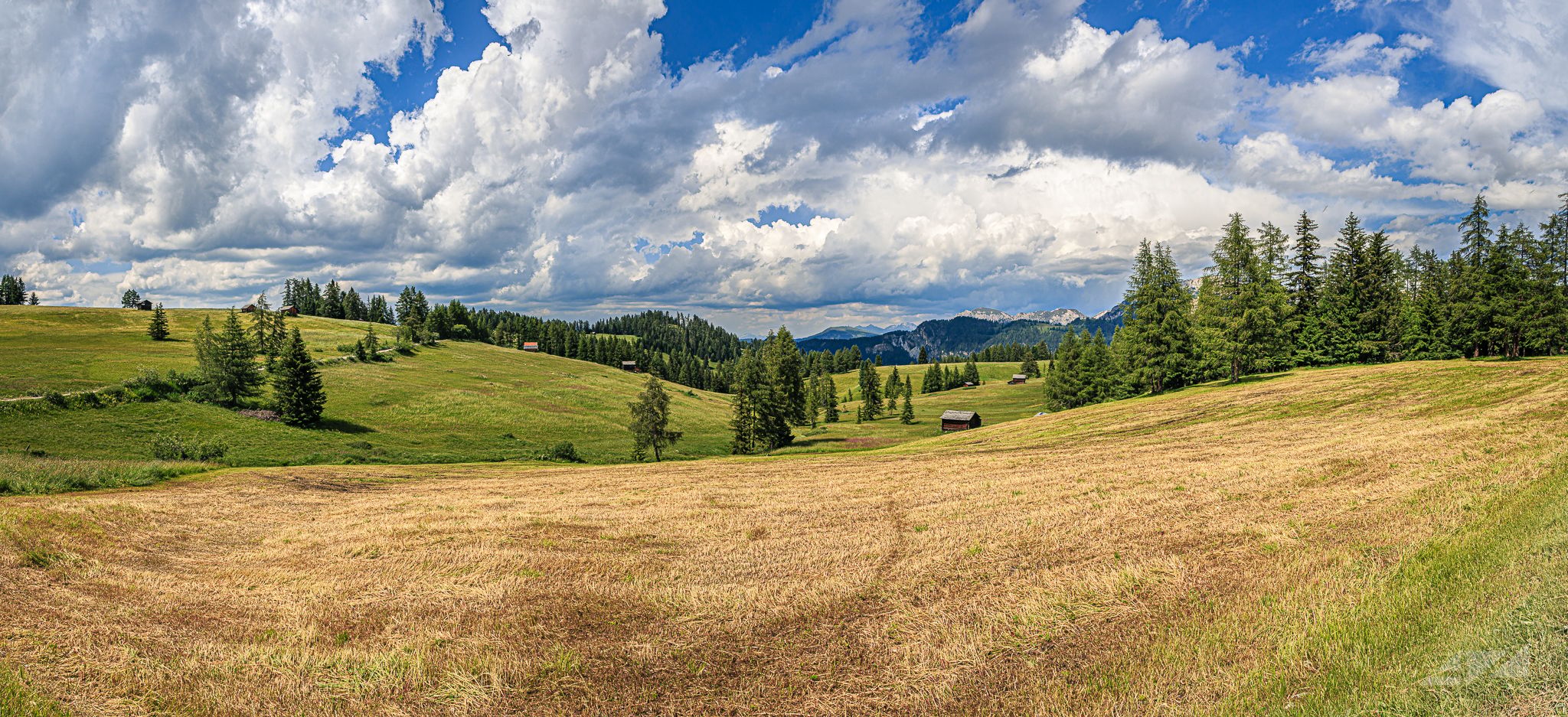 I prati dell'Armentara, Italy