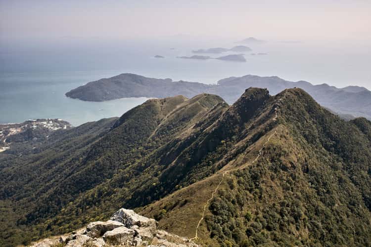 Kau Nga Ling - Dog Teeth Range