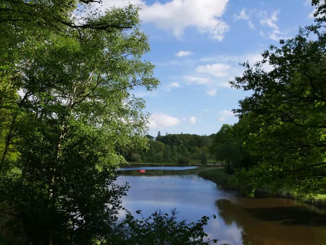 Kerguéhennec domain
