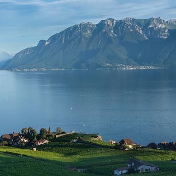 Lac Leman from Chexbres, Switzerland