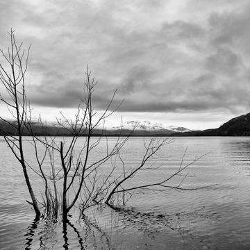 Loch Maree, United Kingdom