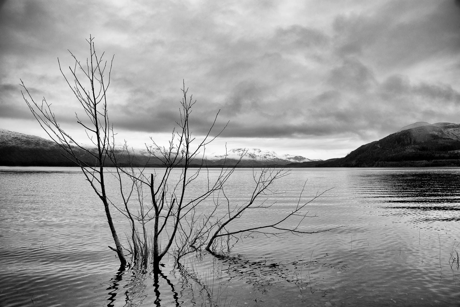 Loch Maree, United Kingdom
