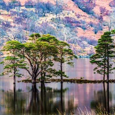 Loch Maree, United Kingdom