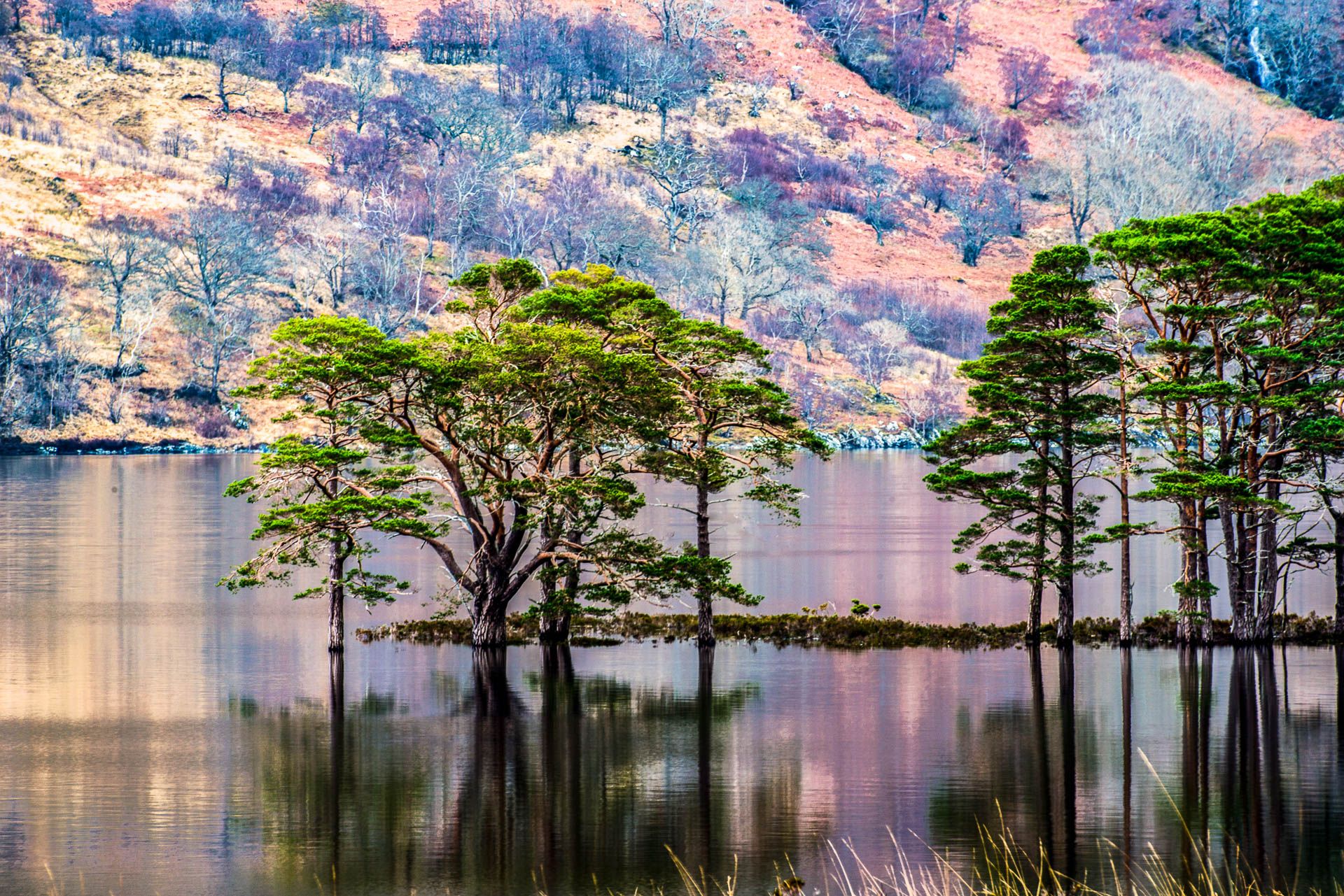 Loch Maree, United Kingdom