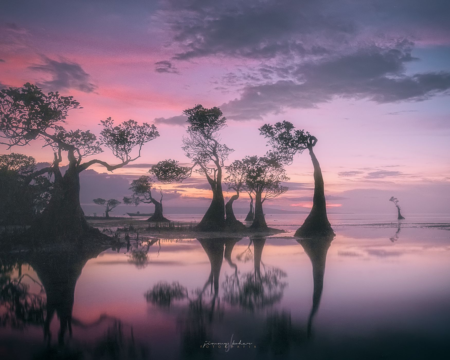 Mangrove Trees of Walakiri Beach, Indonesia