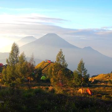 Mount Prau, West Java - Indonesia, Indonesia