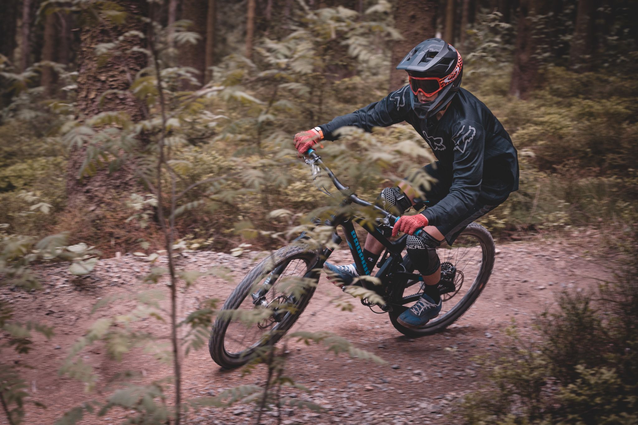 Mountainbike, Germany