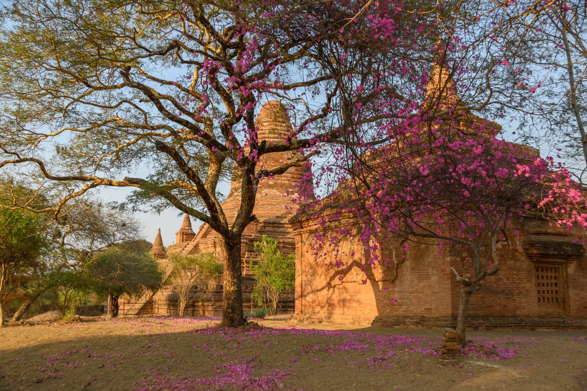 Nat Hlaung Kyaung, Myanmar