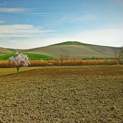 On the way to Chianni, Italy