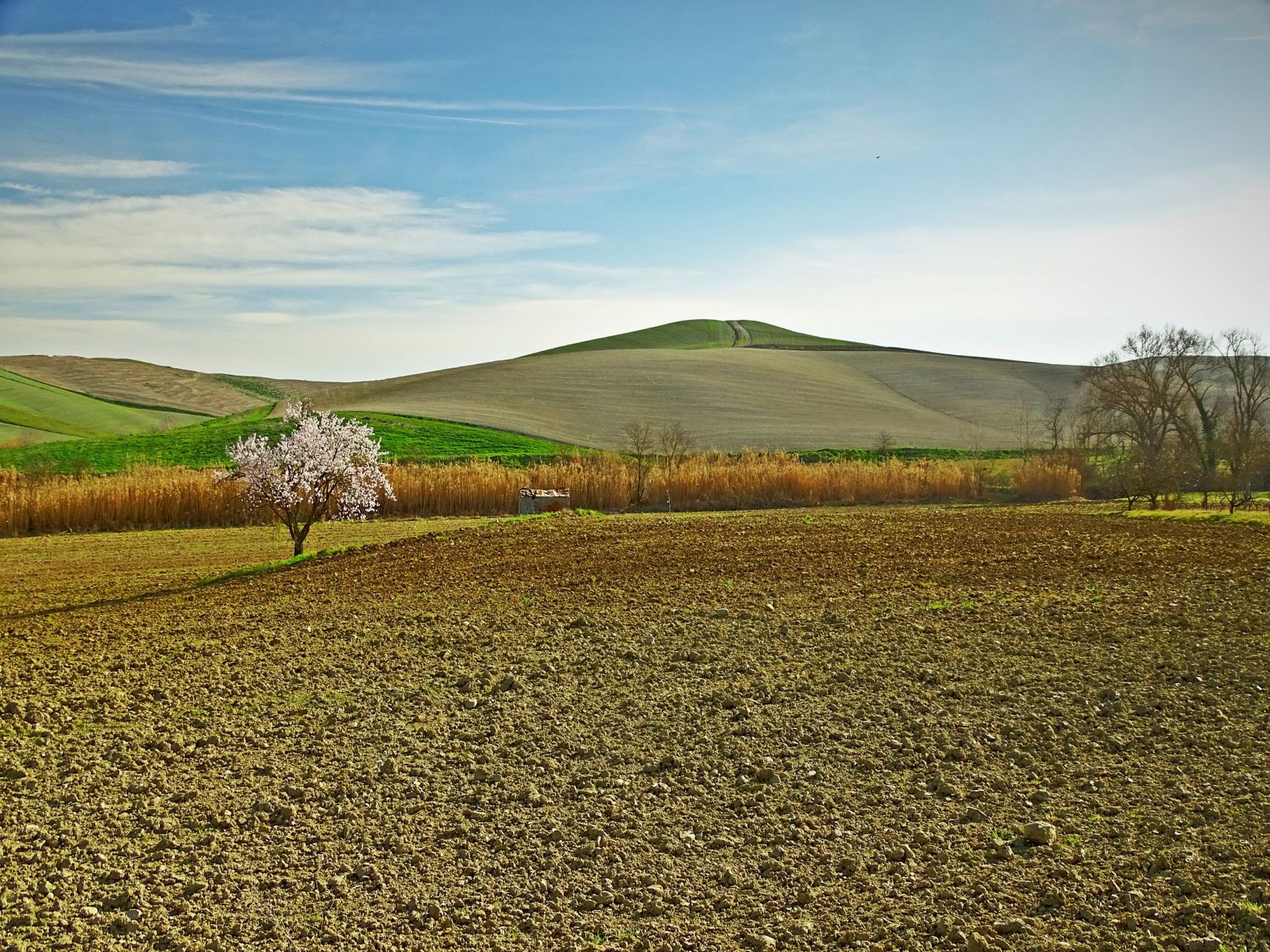 On the way to Chianni, Italy