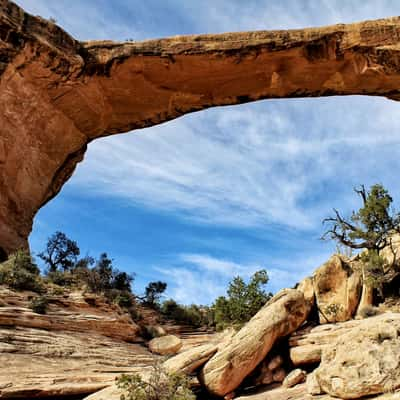 Owachomo Bridge, USA