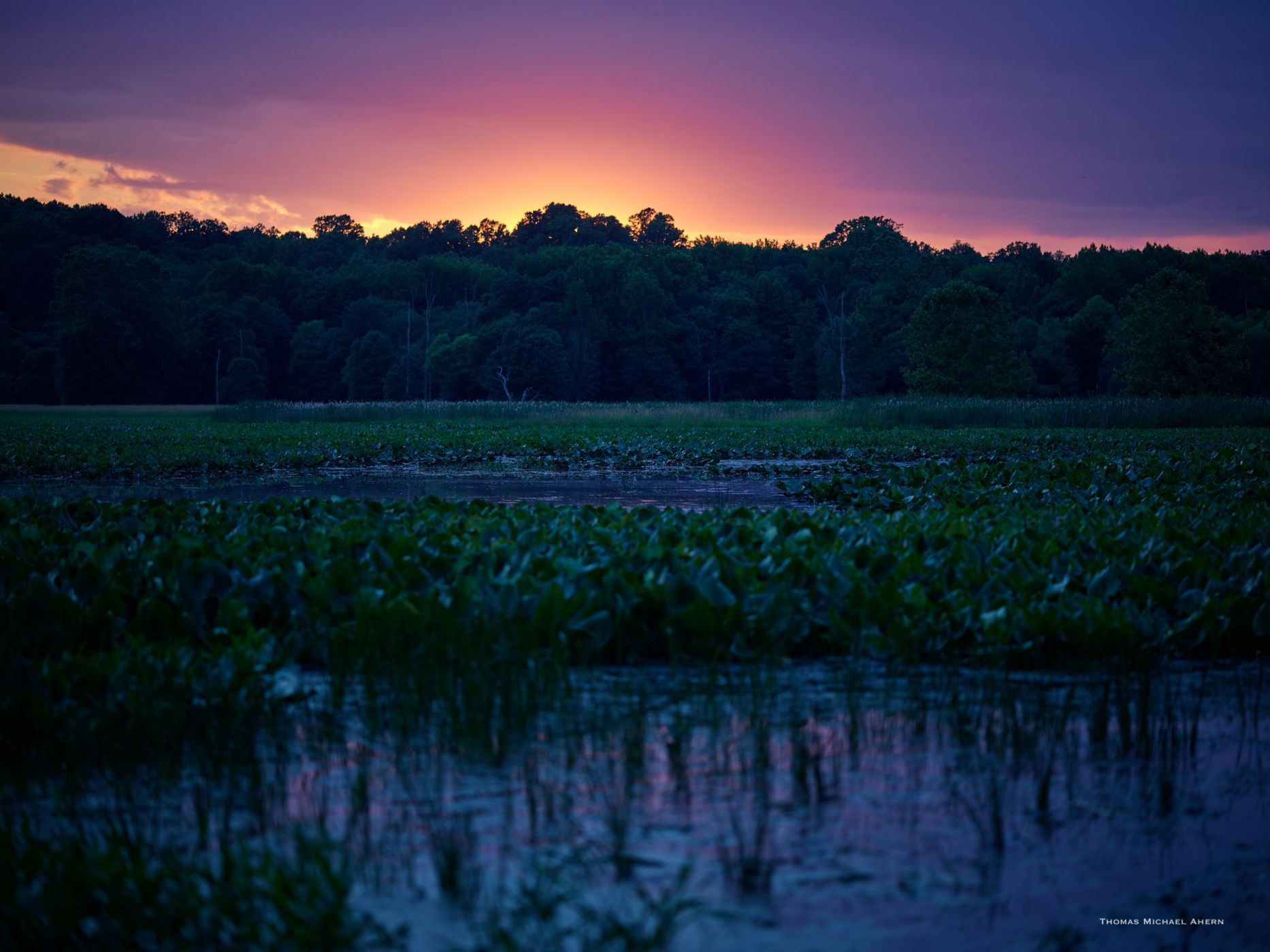 Oxbow Lake, USA