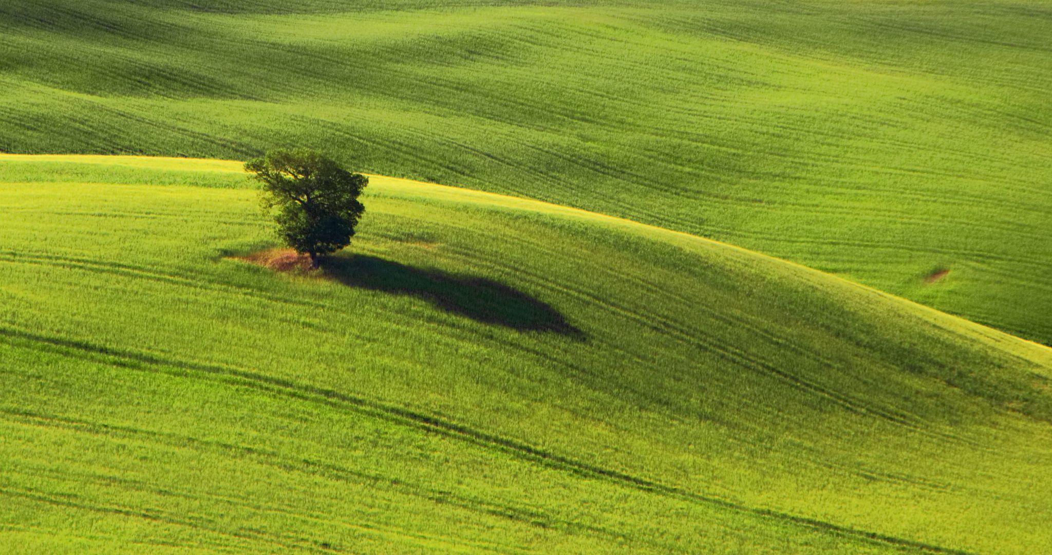 Paesaggio toscano, Italy