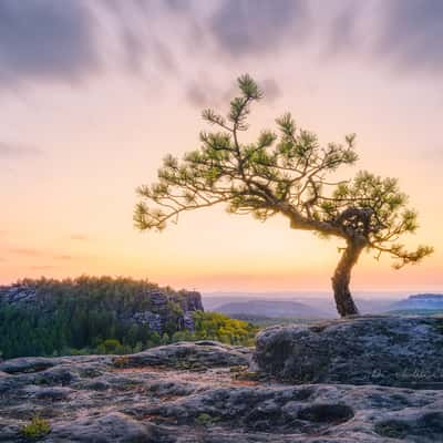 Papststein, Saxony, Germany