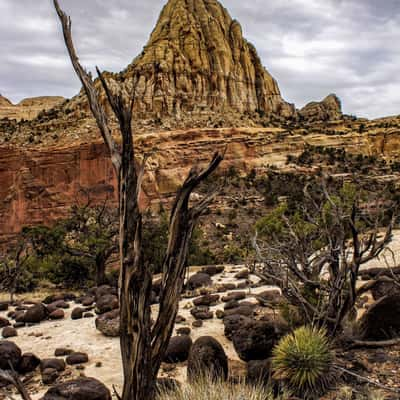 Pectols Pyramid, USA