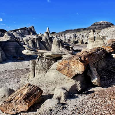 Bisti Badlands, USA