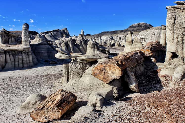 Bisti Badlands