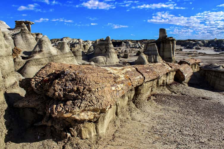 Bisti Badlands