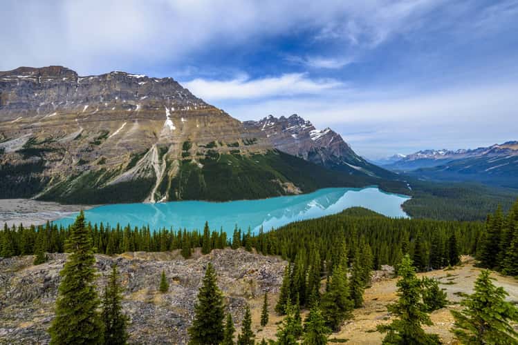 Peyto Lake Overview from Bow Summit