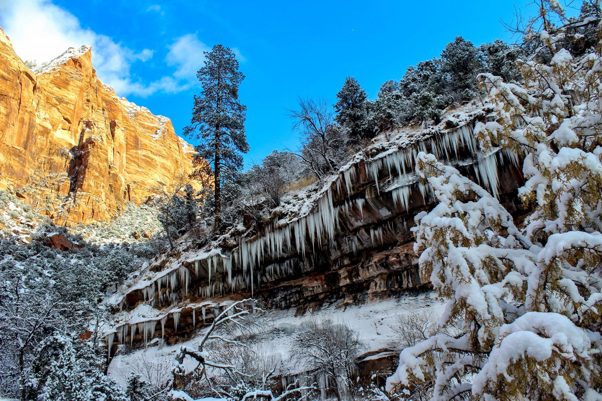 Pine Creek, USA