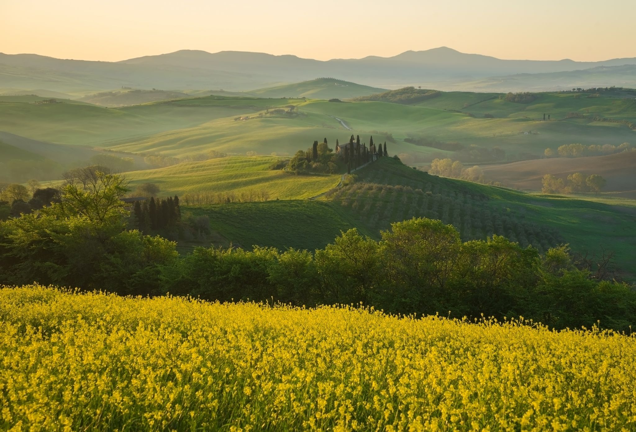 Podere Belvedere in the Val D'orcia Tuscany, Italy