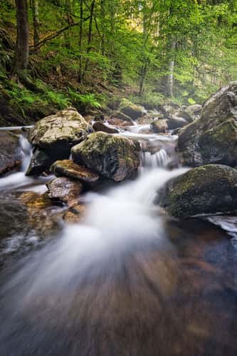 Rechenfelsen, Black Forest