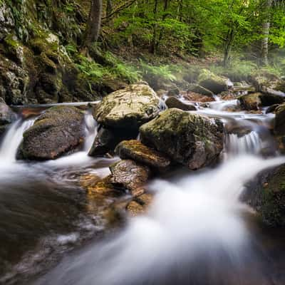 Rechenfelsen, Black Forest, Germany