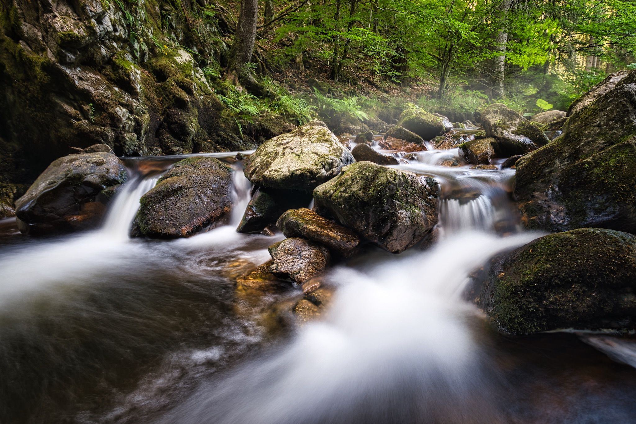Rechenfelsen, Black Forest, Germany