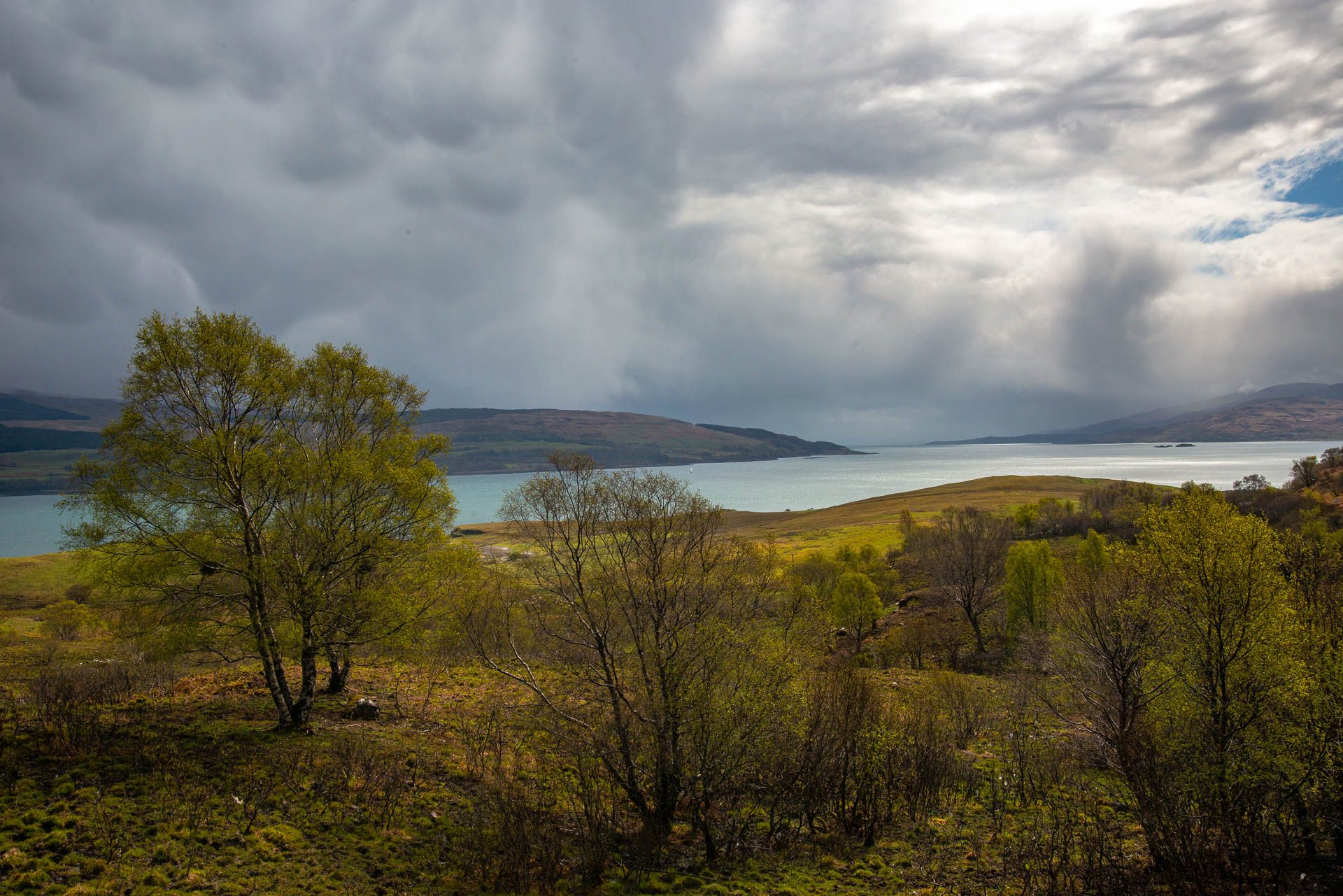 Road to Carsaig, United Kingdom