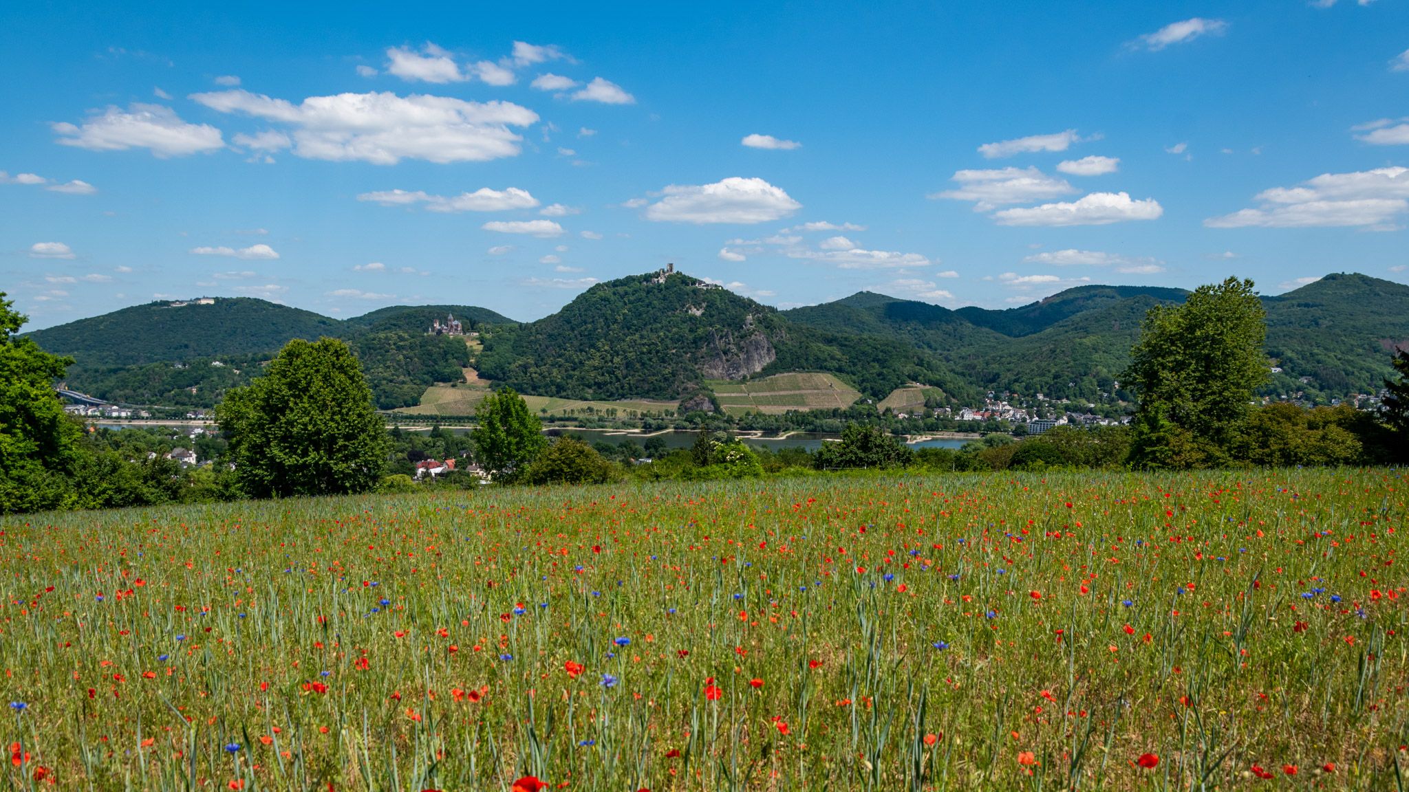 Rodderberg, Germany