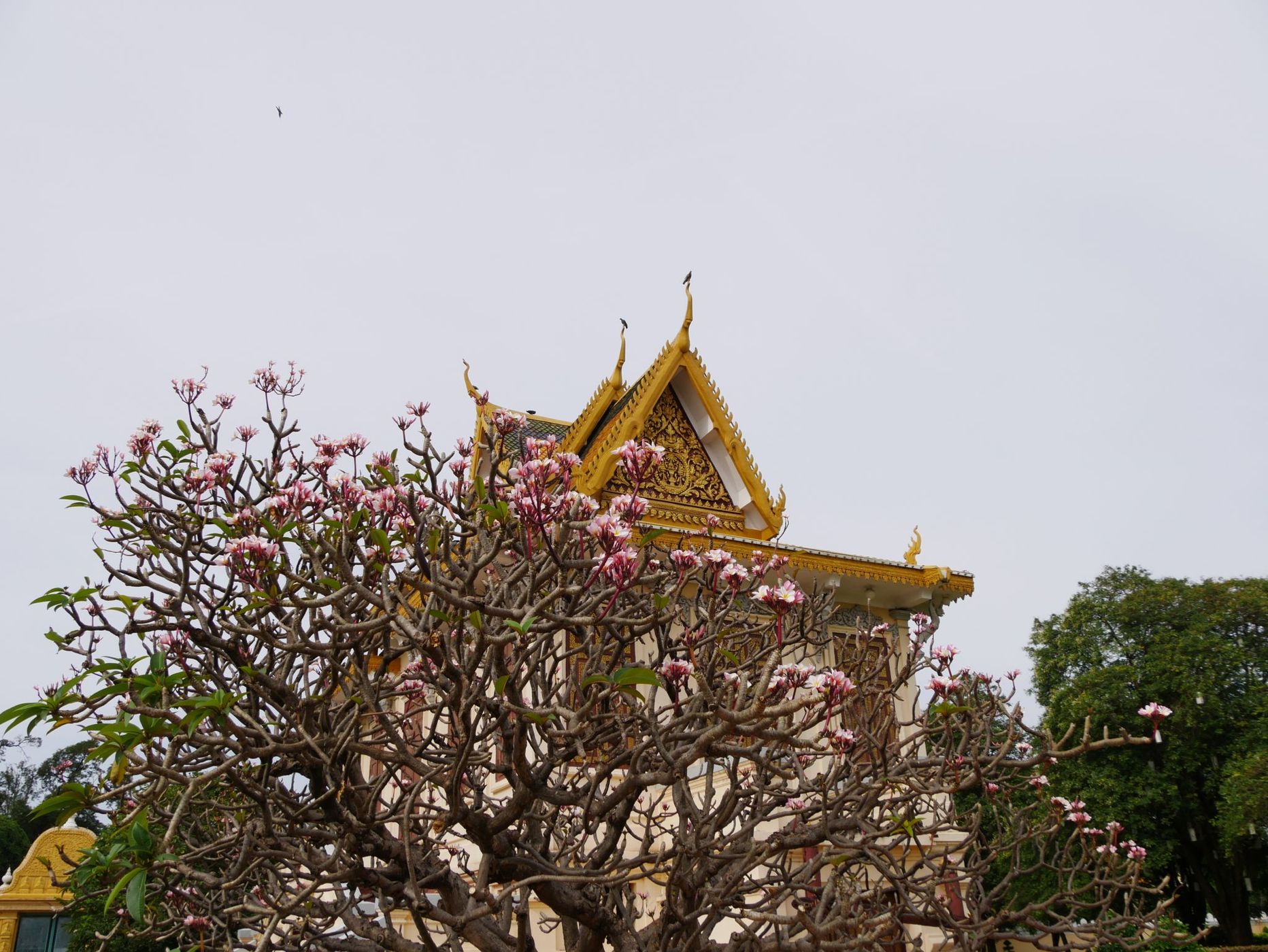 Royal Palace Phnom Penh, Cambodia