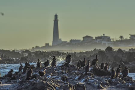 Santa Maria Lighthouse